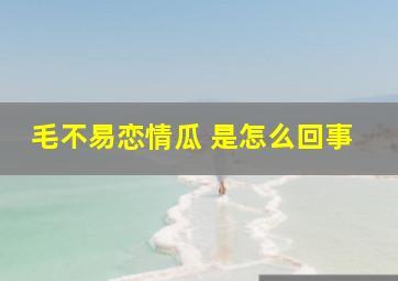 毛不易恋情瓜 是怎么回事